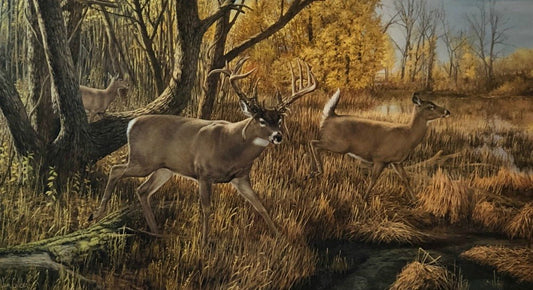Ron Van Guilder Old Mossy Horn S/N Deer Buck Art Print