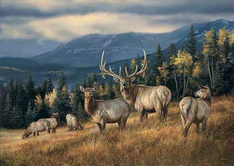 Rosemary Millette Autumn Gold A/P Elk Print