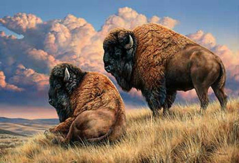 Rosemary Millette Prairie Monarch Bison Bufallo A/P Art Print