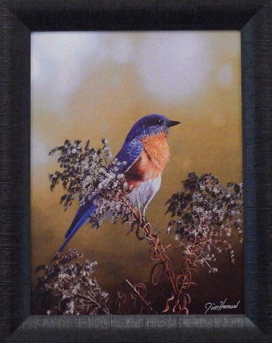 Jim Hansel Eastern Bluebird Art Print-Framed 15 x 19
