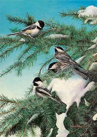 Kevin Daniel Winter Chickadee's Art Print