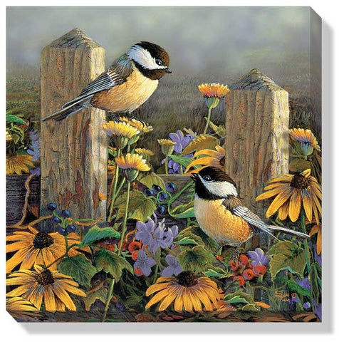 Sam Timm Chickadees