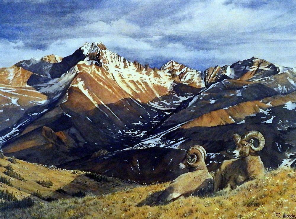 Sarah Woods Rocky Mountain Splendor Sheep Art Print- Image 24 x 18