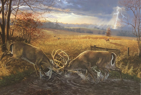 Scot Storm Autumn Thunder Deer Art Print (10x7) (Free Shipping)