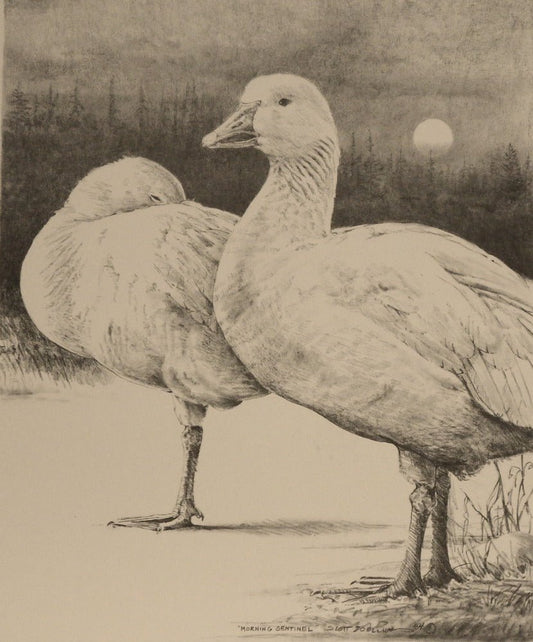 Scott Zoellick Morning Sentinel Goose S/N Print