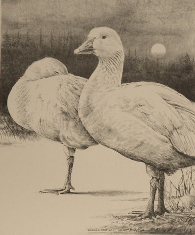 Scott Zoellick Morning Sentinel Goose S/N Print