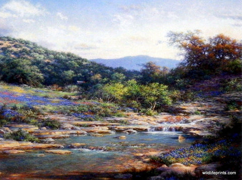 Larry Dyke Shades of Spring
