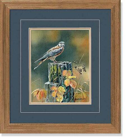Susan Bourdet Autumn Sun-Kestral Art Print-Framed 16 x 18-Free Shipping