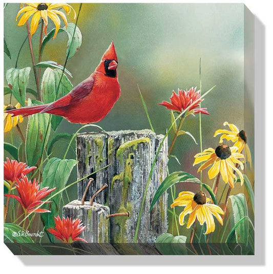 Susan Bourdet Greeting the New Day