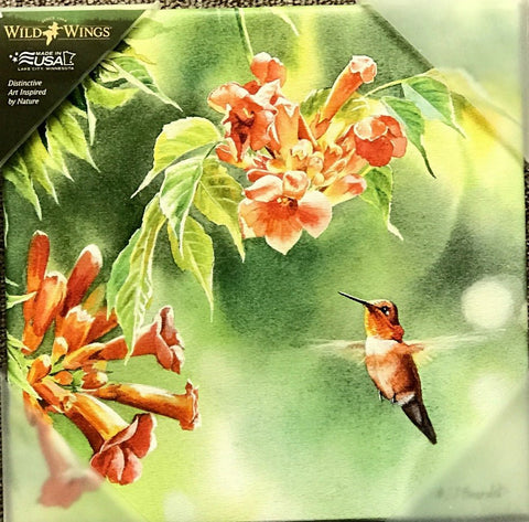 Susan Bourdet Rufous in Trumpet Vine Hummingbird wrapped Canvas