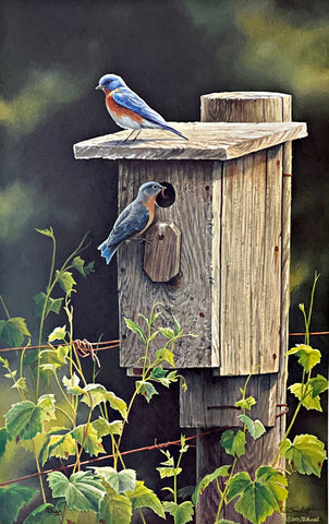 Susan Bourdet S/N Songbird Art Print New Beginnings-Bluebirds with cert (12x19)