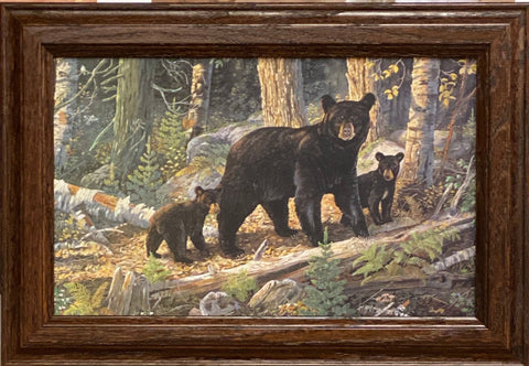 Terry Doughty Caught in the Act Puppy Art Print-Framed (Wood) 14.5 x 10