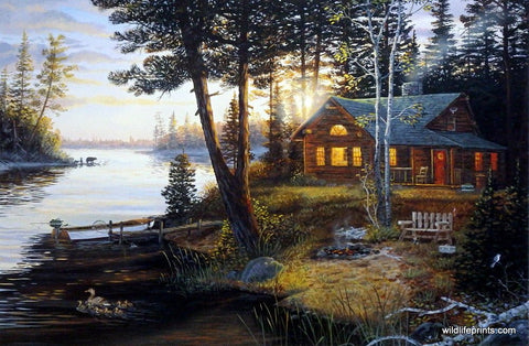 Terry Doughty Last Embers