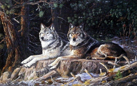 Terry Doughty Leaders of the Pack - 12" x 8" Open Edition