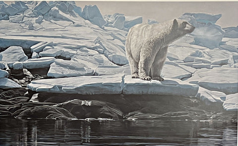 Terry Isaac Cumberland Sound Bear S/N with Cert Art Print