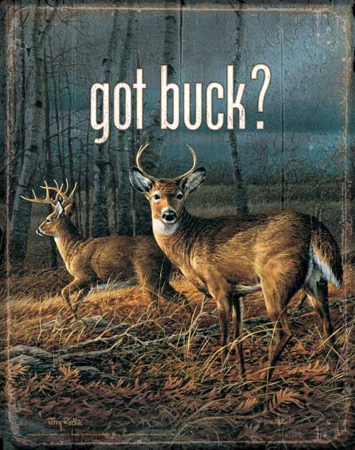 Terry Redlin Got Buck-Tin Sign
