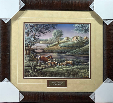 Terry Redlin Natural Curiosity Horse and Farm Art Print-Framed  20.25 x 18.5
