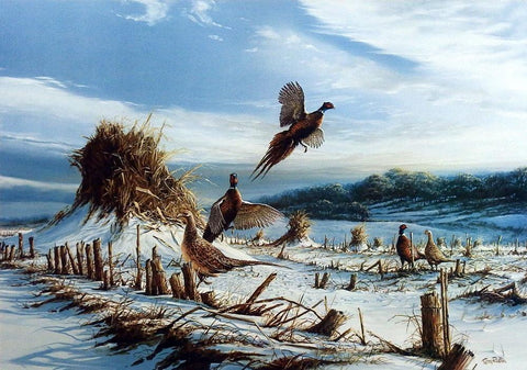 Terry Redlin Startled  S/N Pheasant Print- 22"x15.5"