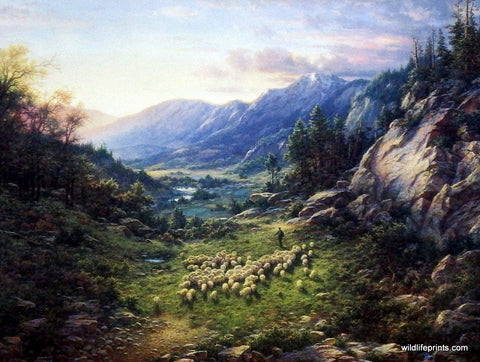 Larry Dyke The Good Shepherd