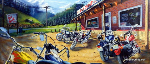 Mark Rose The Pit Stop