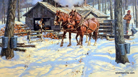 Harold Lyon The Sugar Shack