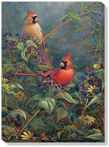 Sam Timm Berry Bush Cardinals Wrapped Canvas