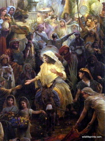 Tom Dubois Lamb of God