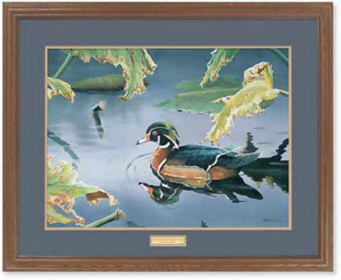 Susan Bourdet Tranquil Pond-Wood Duck Framed Print