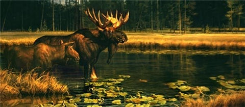 Nancy Glazier Waterworld Bull Moose Art Print-Signed
