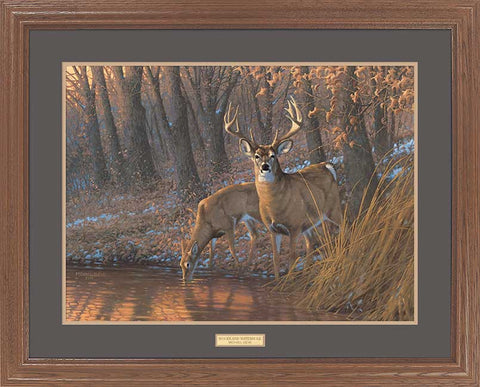 Michael Sieve Woodland Watering Hole Framed