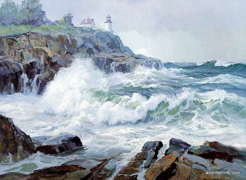 Picture of Acadia National Park Lighthouse by Charles Vickery