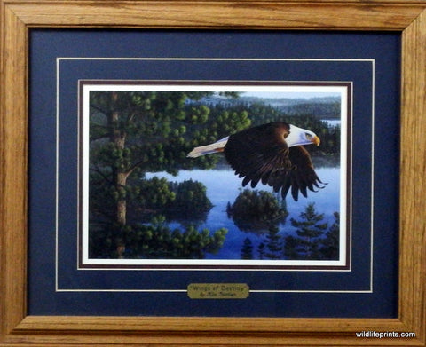 Kim Norlien Wings Of Destiny- Framed
