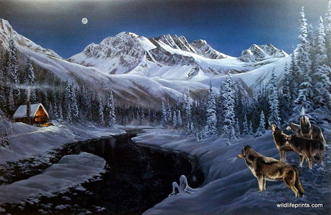 Andrew Kiss Wildlife Wolf Print WINTER GLOW