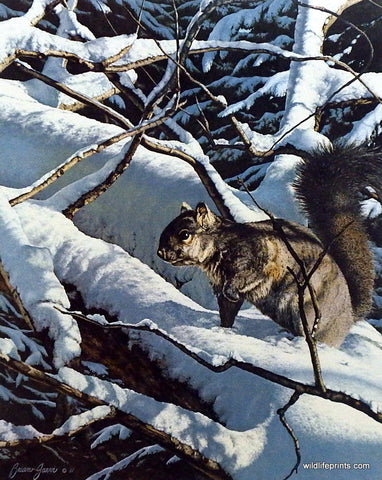 Brian Jarvi Squirrel Art Print Winter Playground 
