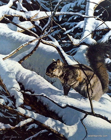Brian Jarvi Squirrel Art Print Winter Playground 
